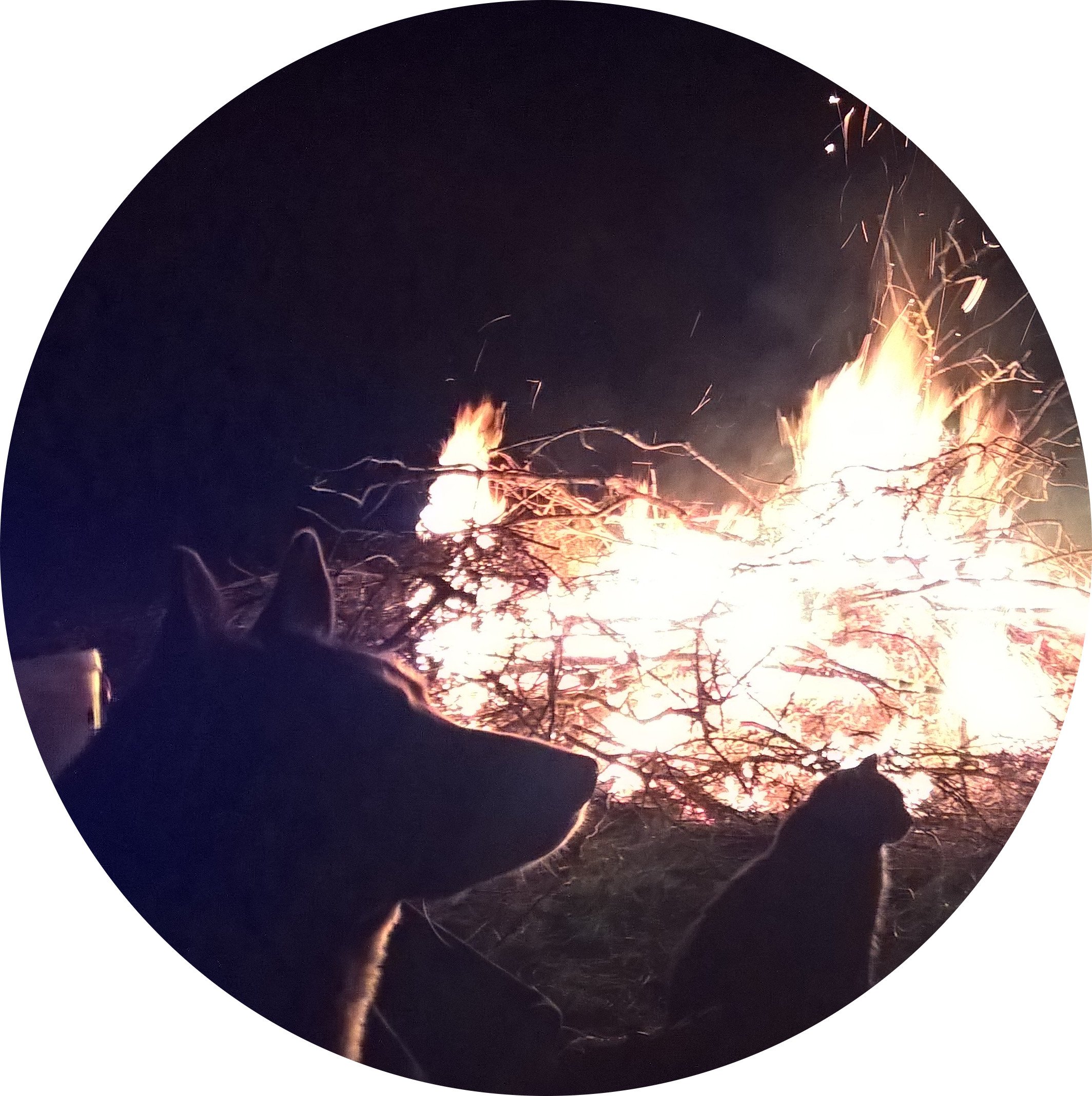 Photo de La Merlesse